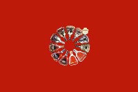 广丰回收红酒